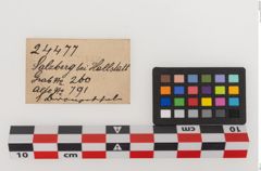 Etiketten zu Bronzeschale (NHMW-PRAE-024477)